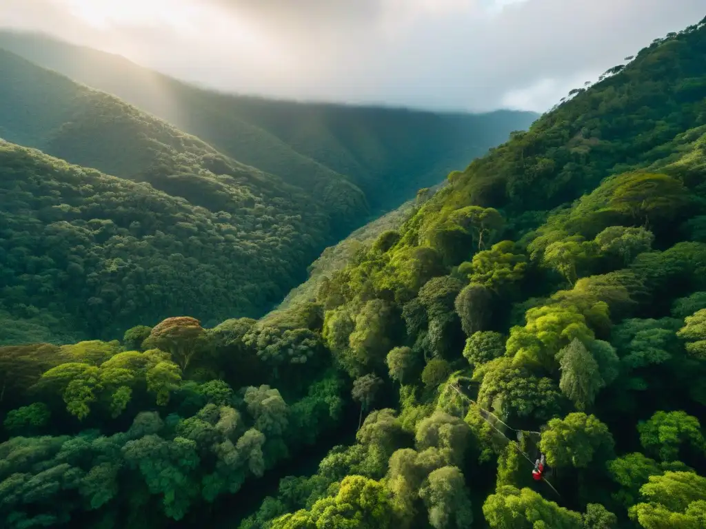 Un emocionante paseo en tirolesa en Canopy Atlántida, donde la diversidad y la naturaleza se unen en un ambiente de bienestar integral