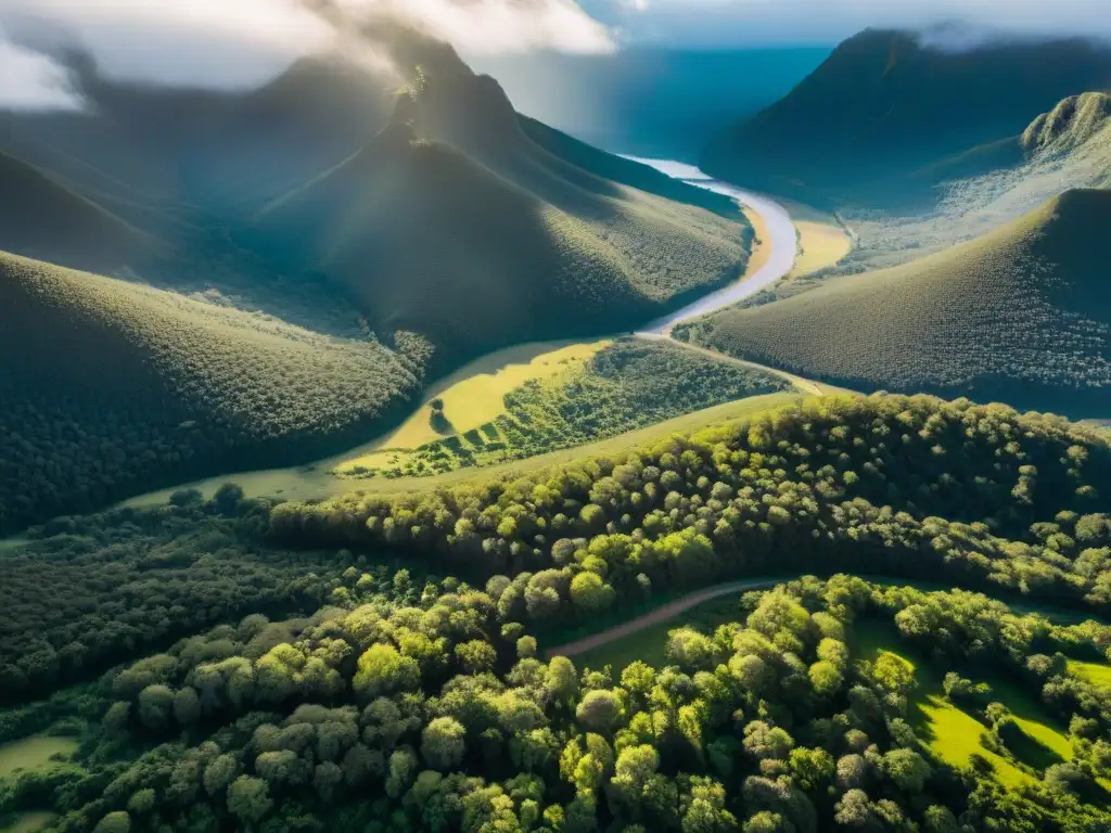 Vista aérea impresionante de las verdes montañas en Sierras Uruguayas, ideal para Retiros de bienestar Sierras Uruguayas